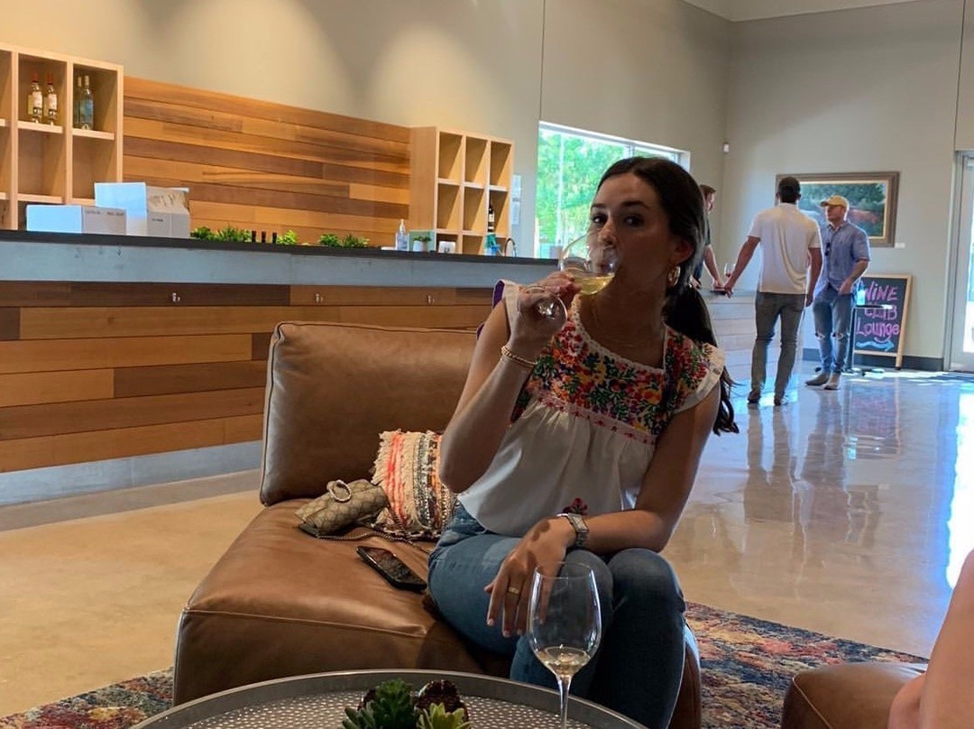 830 Elevated Wine Tours-弗雷德里克斯堡必去景点