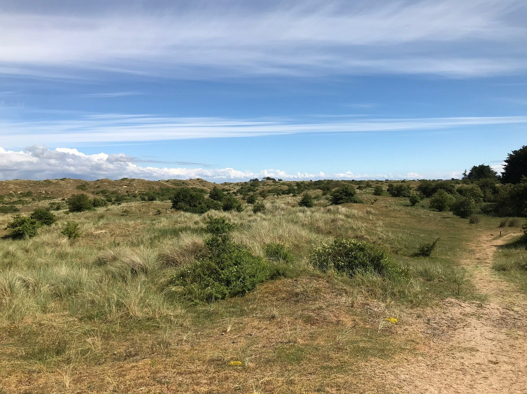 Dunes d'Hattainville景点图片