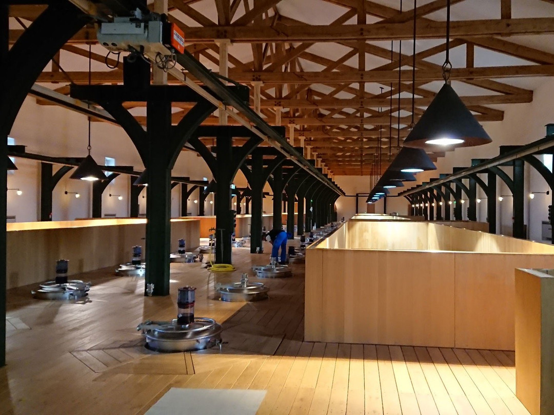 Bacchus Tours-波尔多必去景点