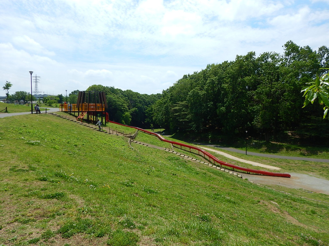 Serizawa Park-座间市必去景点