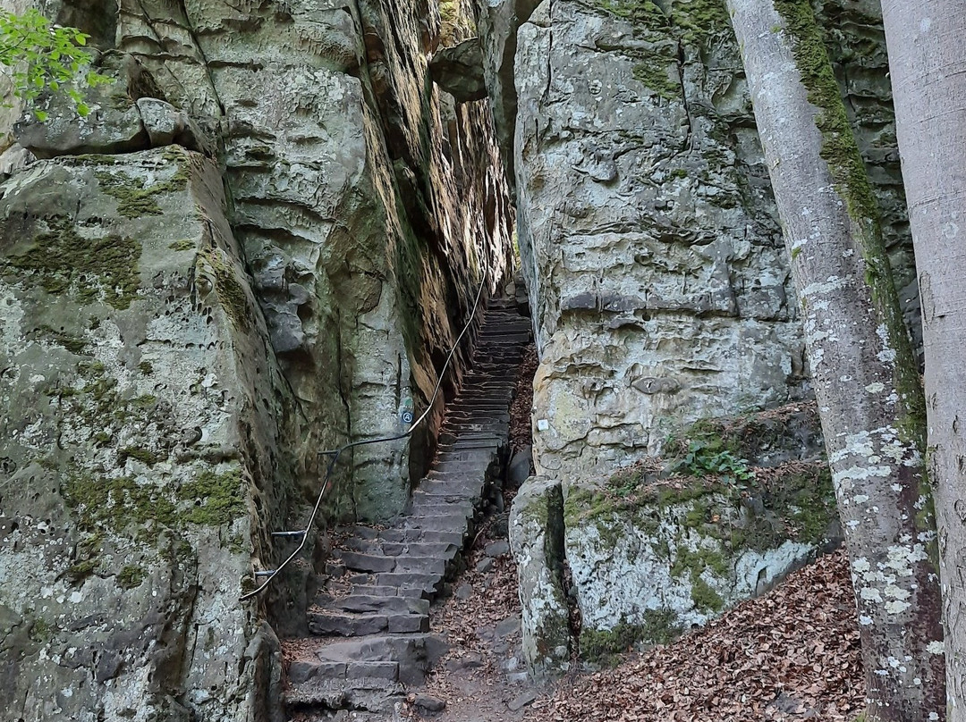 Felsenweg 6 - Teufelsschlucht景点图片