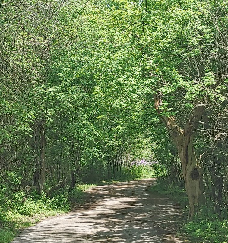 Huff Park-大急流市必去景点