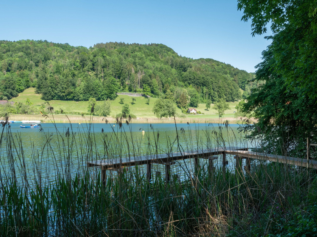 Turlersee-Hausen am Albis必去景点