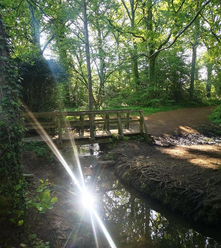Esher Common-Esher必去景点