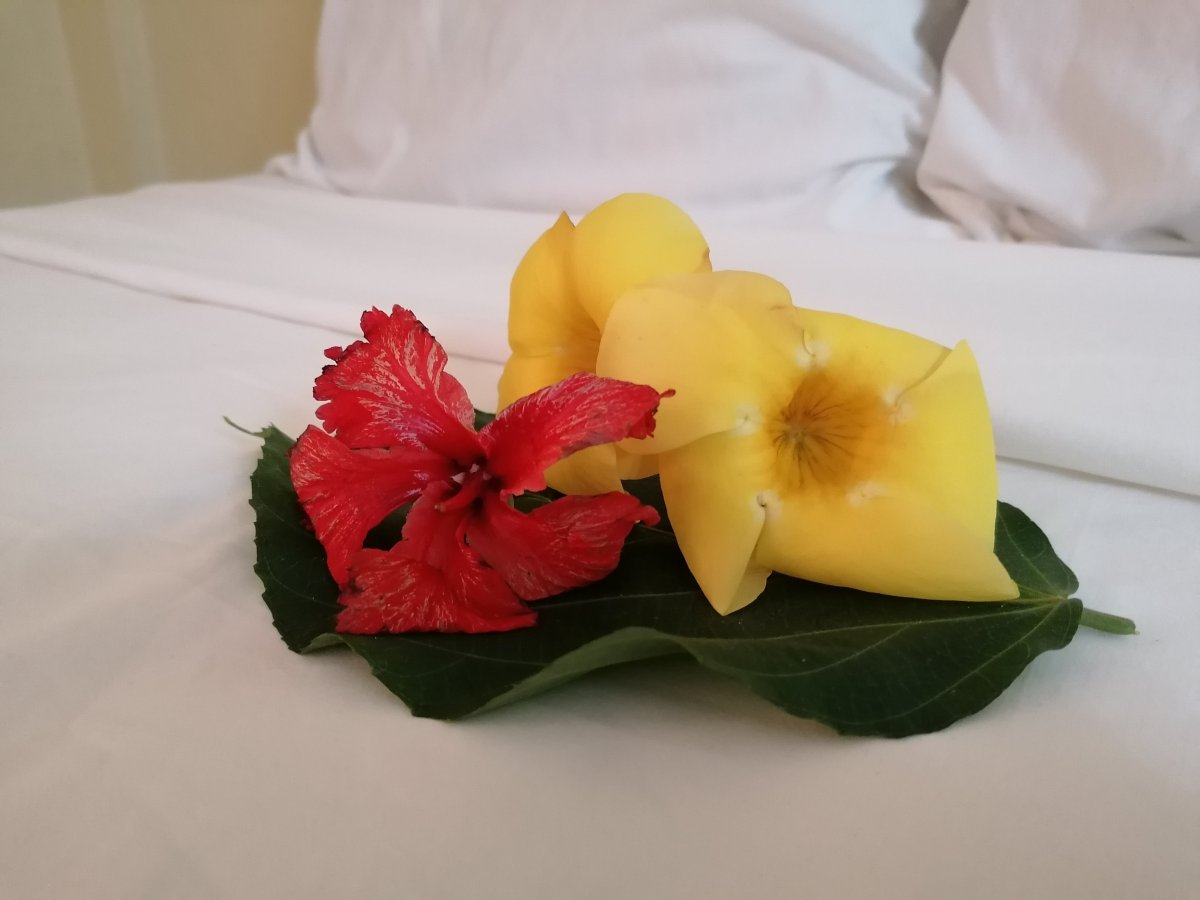 Merrils Beach Resort III-官方