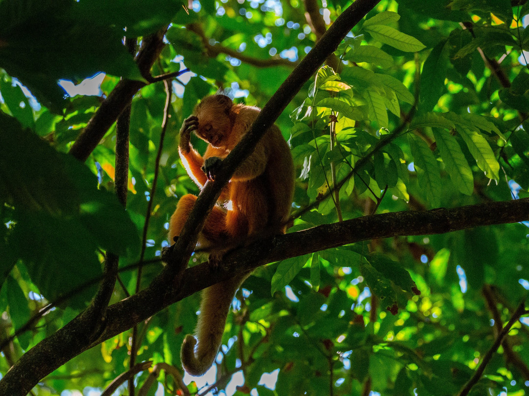 Bush Bush Wildlife Sanctuary-Mayaro必去景点