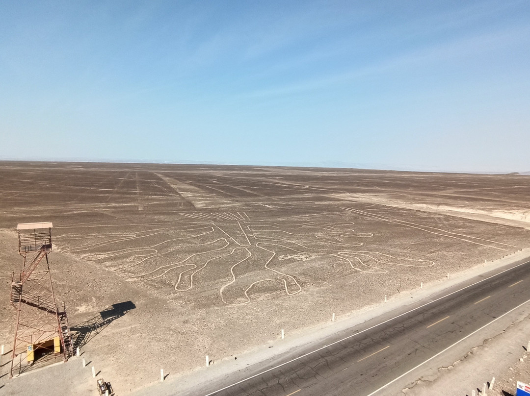 Torre Mirador de Las Lines de Nasca-纳斯卡必去景点