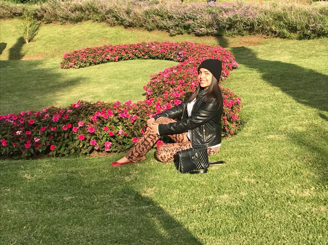 Slim Turismo-Birigui必去景点