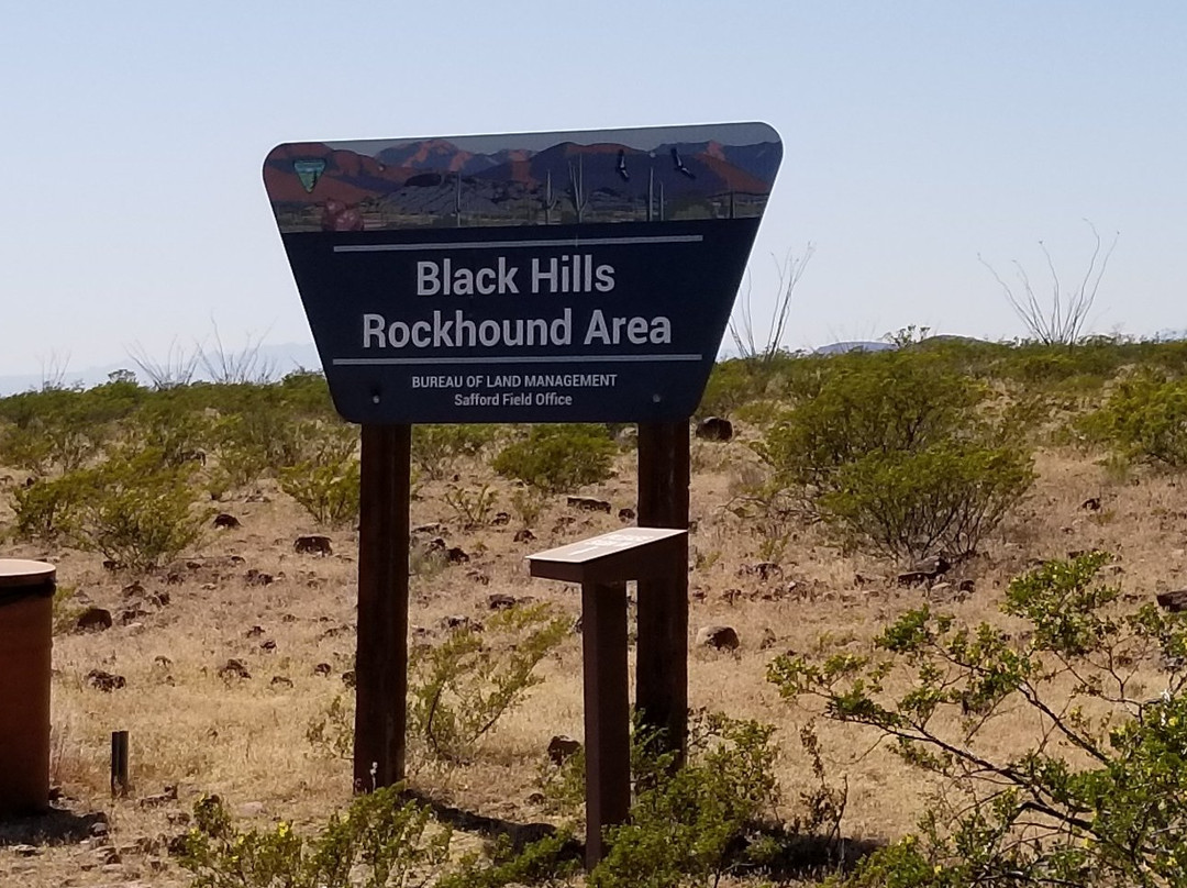 Black Hills Rockhound Area-Safford必去景点
