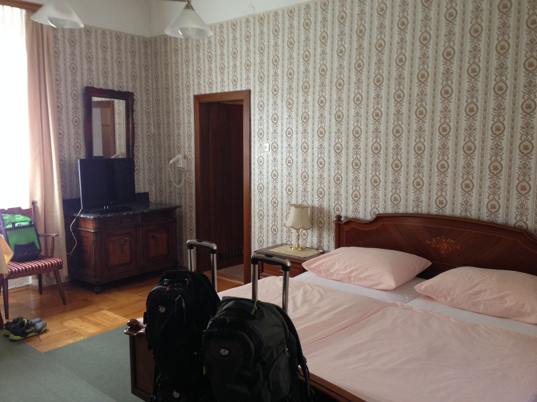 Mercurio Bike Travel-Zwickau必去景点