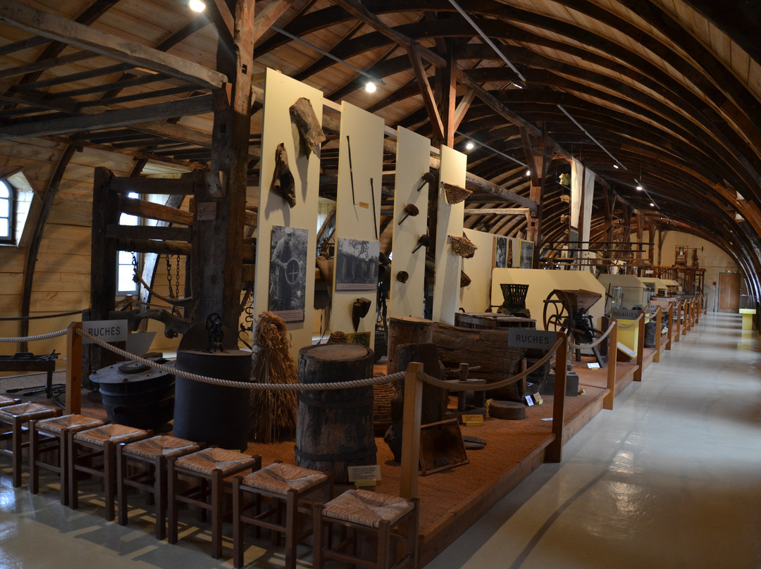 Musee des Arts & Métiers traditionnels Salles-la-Source-Salles-la-Source必去景点