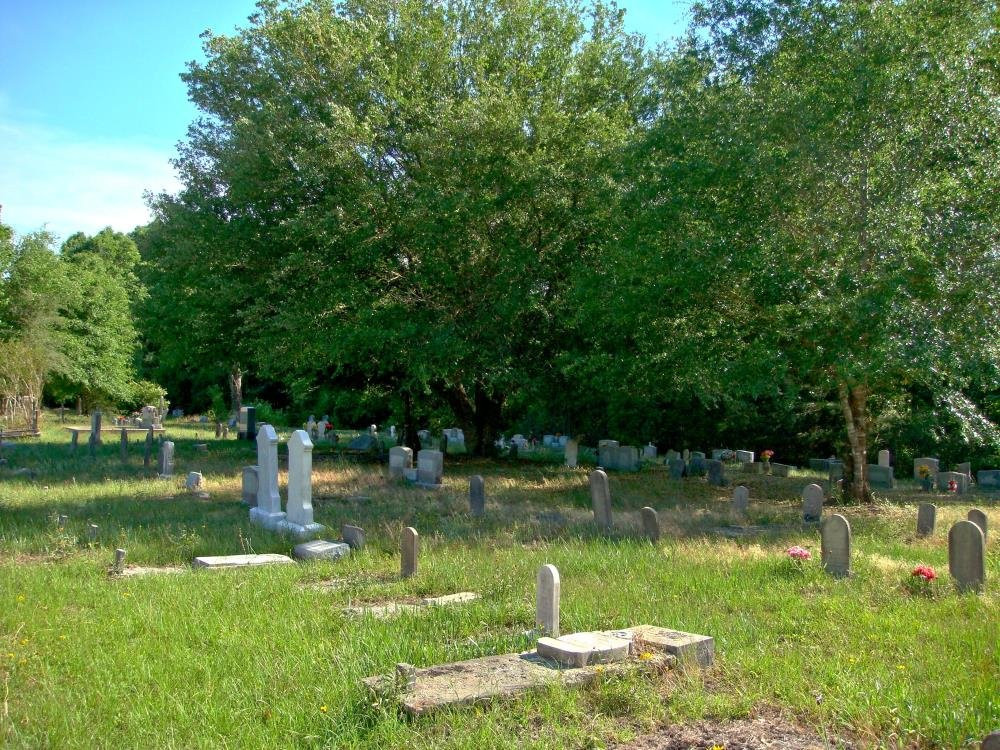 Turtleskin Cemetery