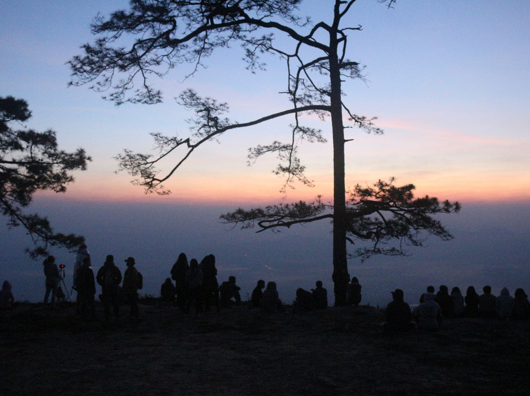 Phu Kradueng National Park景点图片