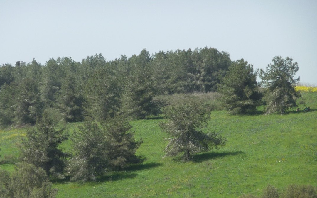 Nahal Hashofet-Yokneam Moshava必去景点