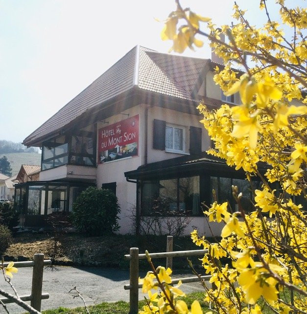 圣朱利安昂热内瓦原生酒店主图