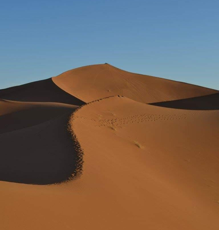 Camp Bivouac Hassi Samra主图