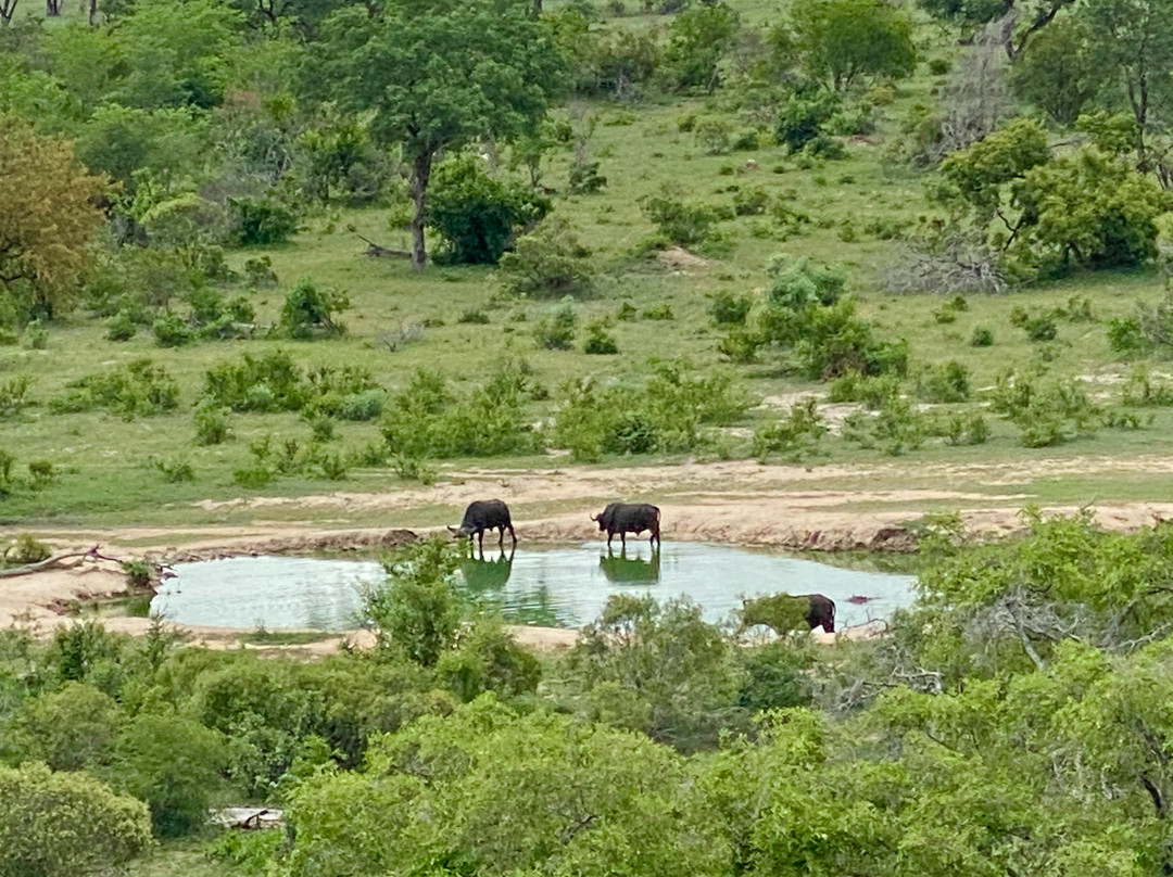 Leopard Hills Private Game Reserve Hotel主图