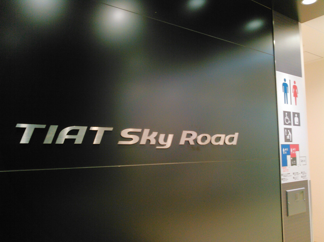 Tiat Sky Road-大田区必去景点