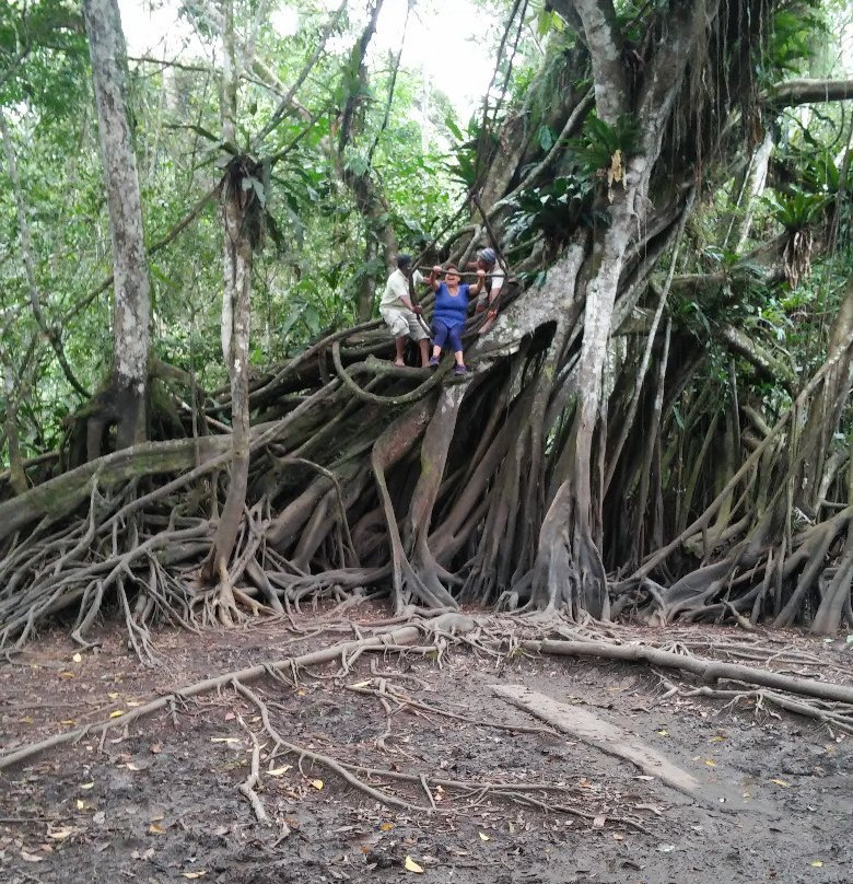Tingana-Moyobamba必去景点
