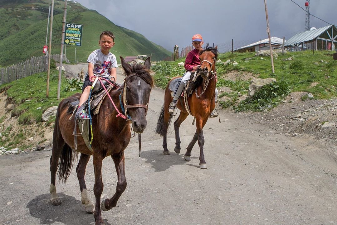 Horse Rentals in Ushguli Official景点图片