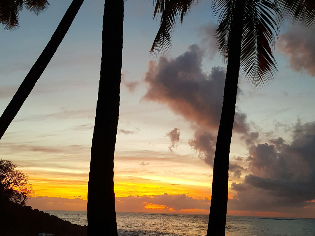 Langley Resort Fort Royal主图