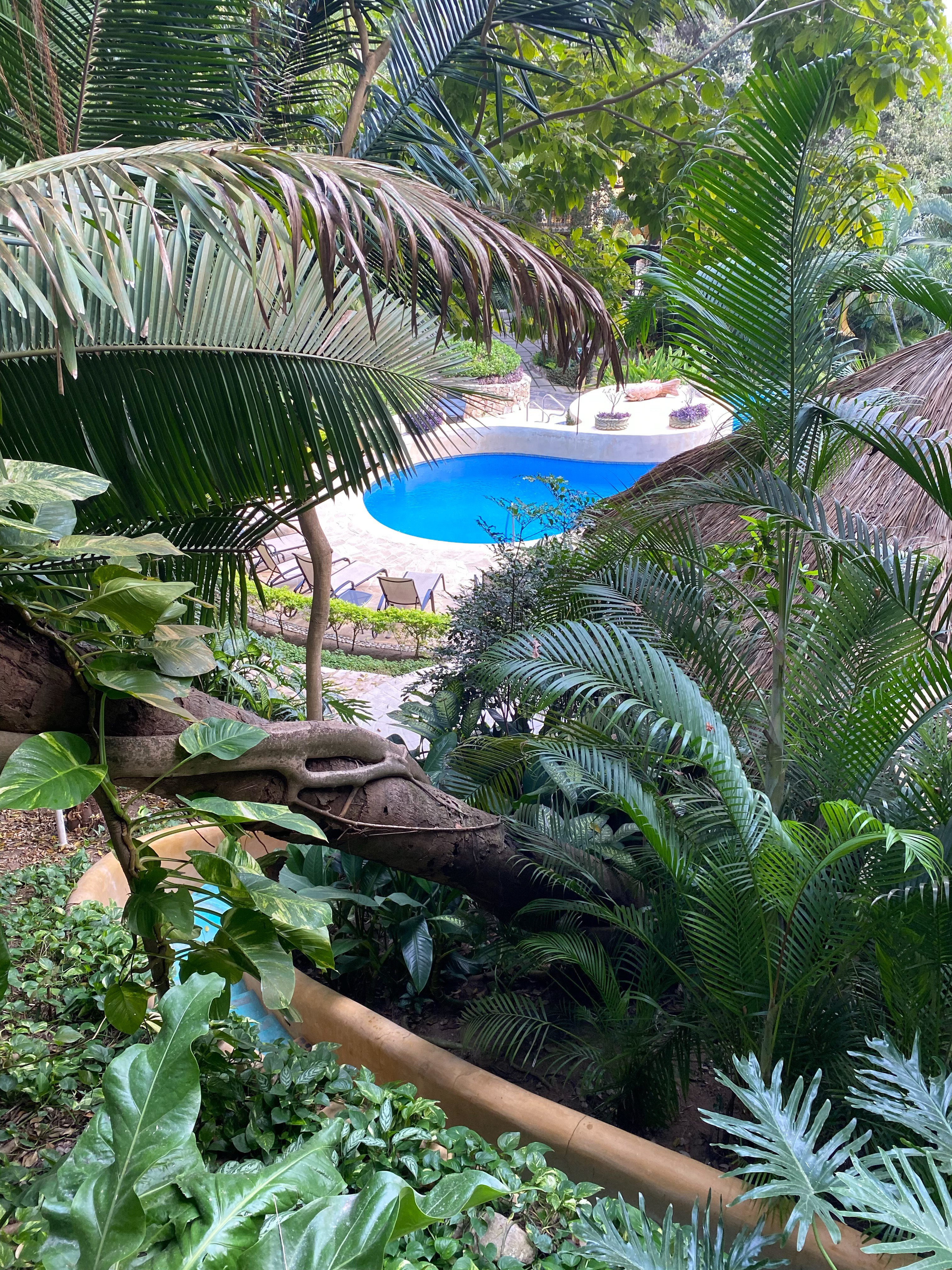 Amor Boutique Hotel-浴室