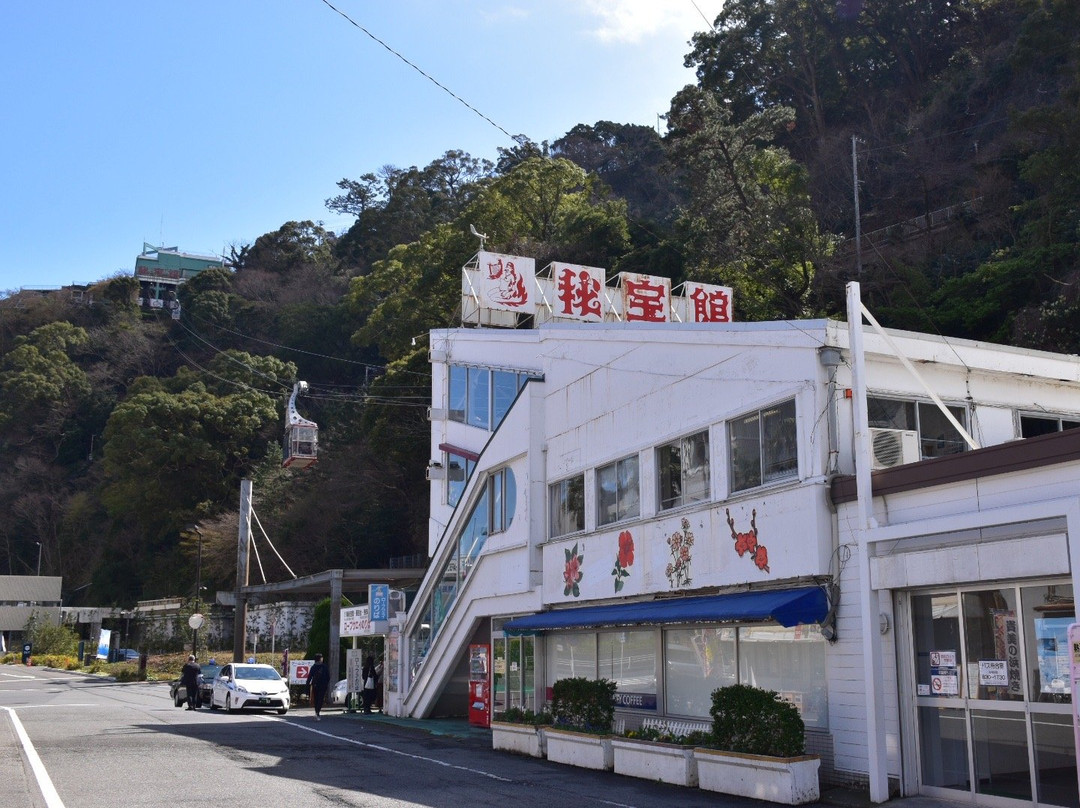 Atami Ropeway景点图片