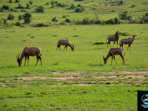 MOHRALE TOURS $ TRAVEL-Eldoret必去景点