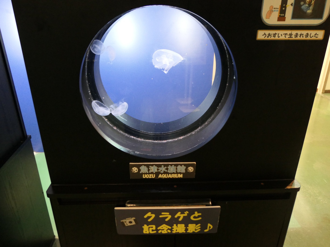Uozu Aquarium-鱼津市必去景点