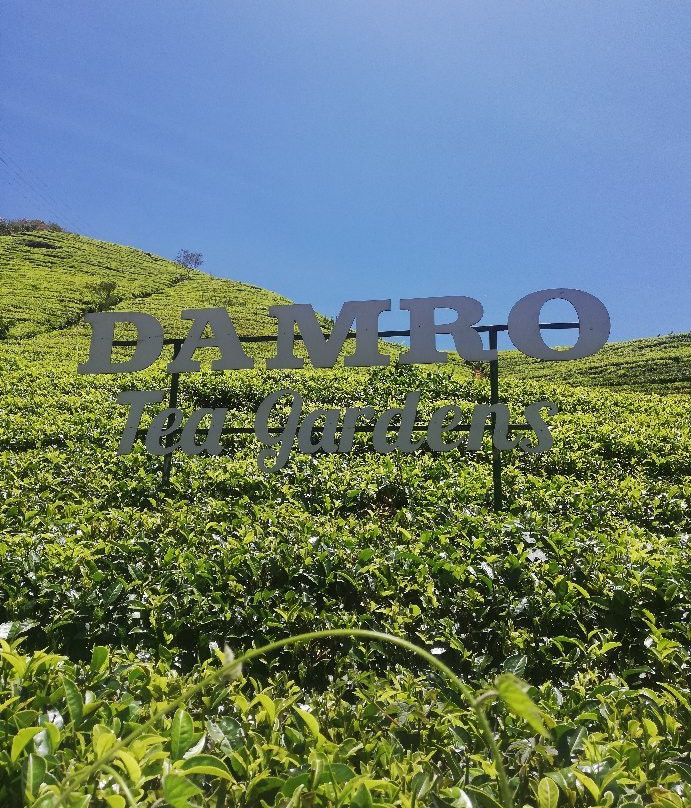 nitwo tours srilanka-Nanu Oya必去景点