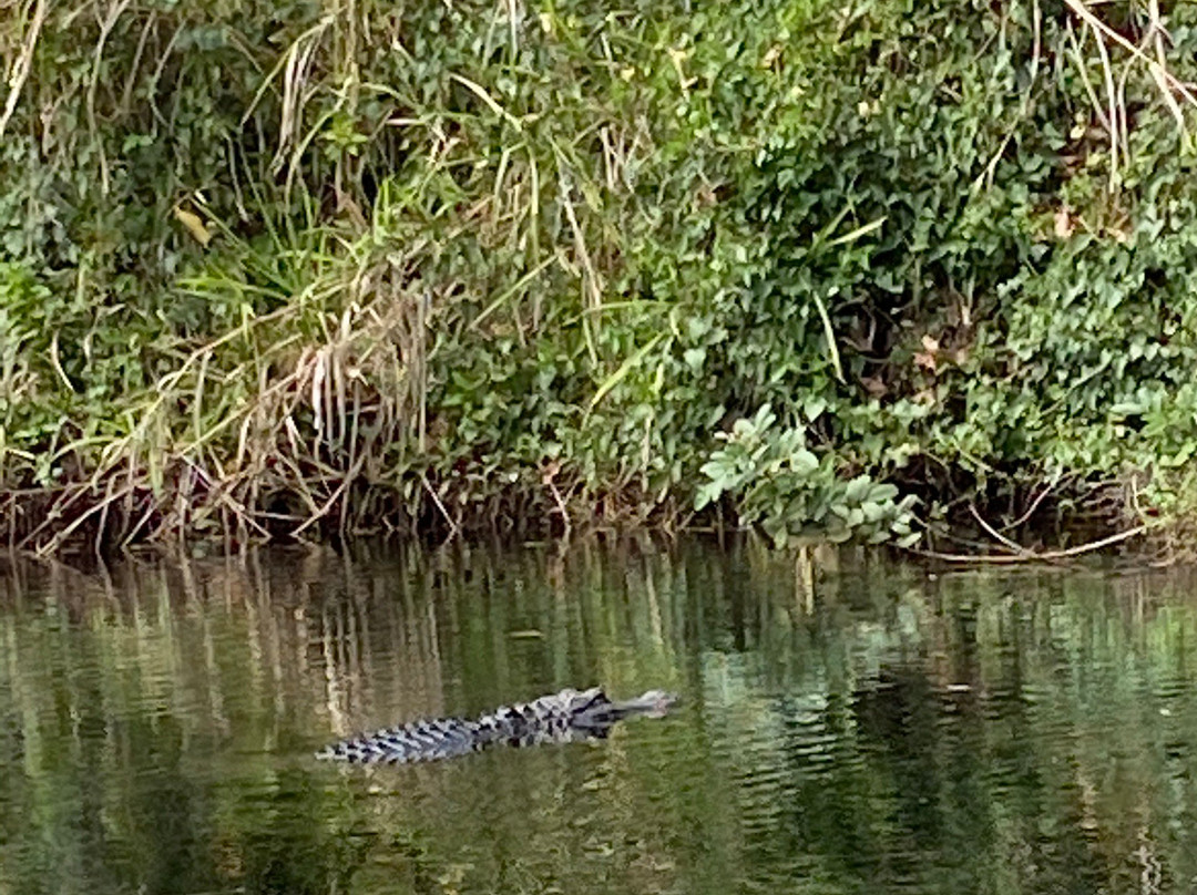 CGT Kayaks-博尼塔斯普林斯必去景点