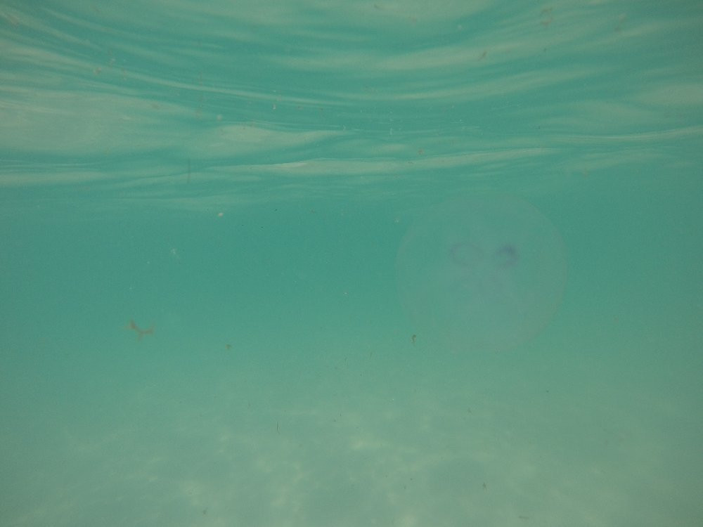 Prainha-卡布弗里乌必去景点