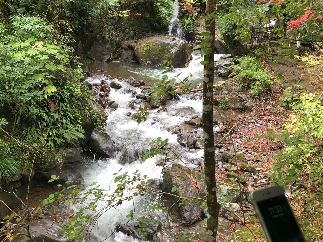 Manyo Park-汤河原町必去景点