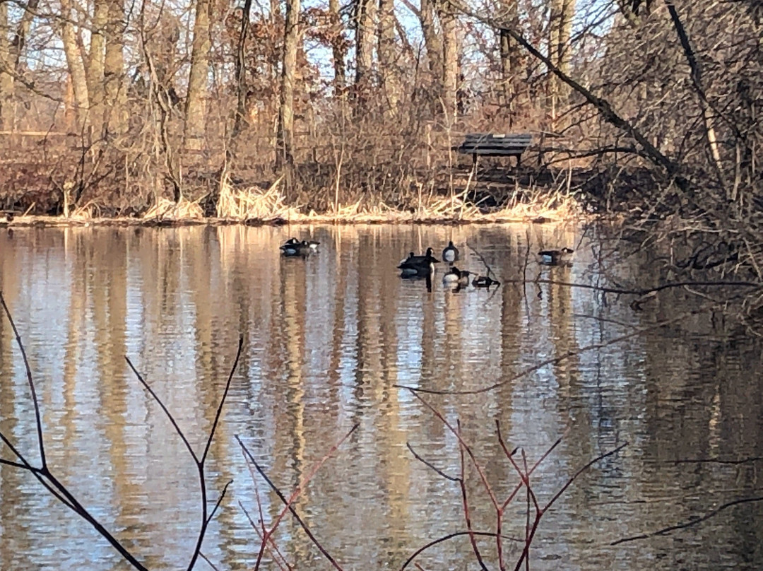 Emily Oaks Nature Center-斯科基必去景点