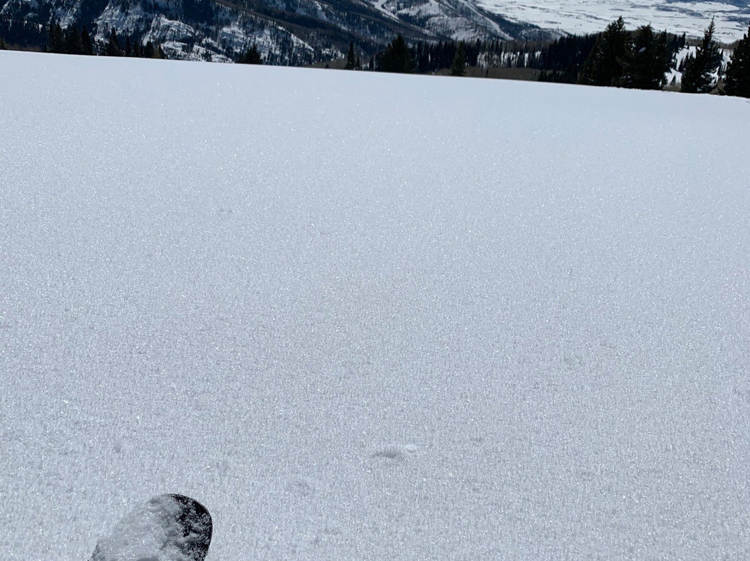 Steamboat Powdercats-斯廷博特斯普林斯必去景点