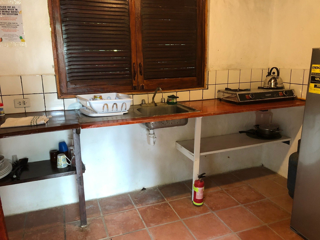 Howler Monkey Hotel主图