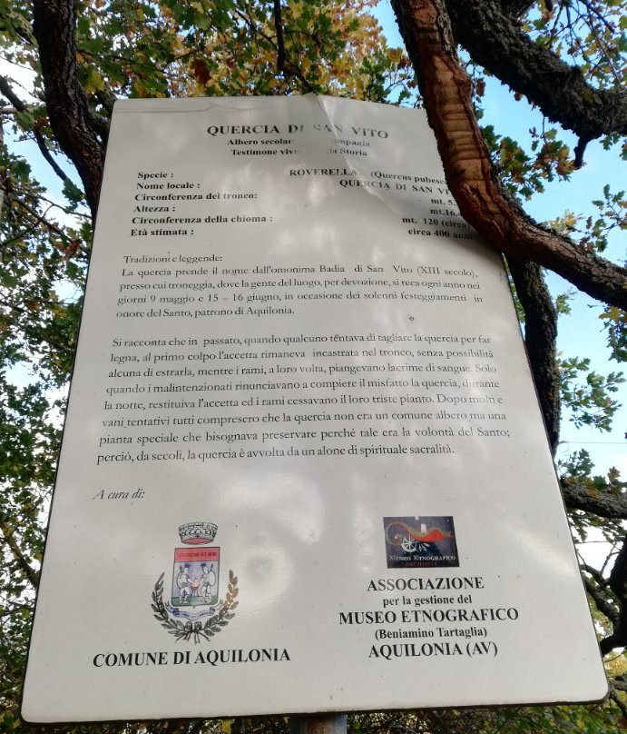 La Quercia di San Vito景点图片