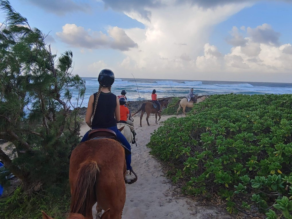 Turtle Bay Resort Horse Riding-卡胡库必去景点