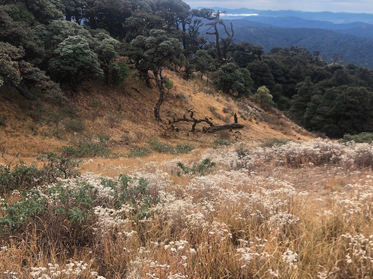 Mount Victoria National Park-Kanpetlet必去景点