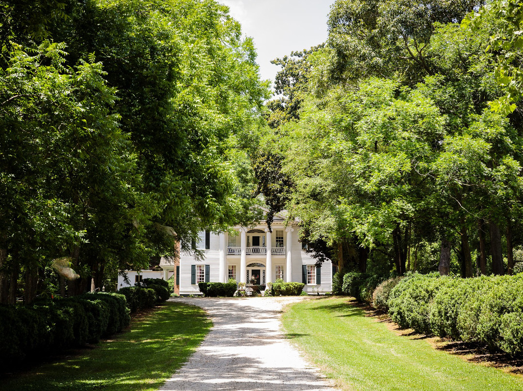 Nutwood Winery Tasting Room & Vineyard Cafe-拉格兰奇必去景点