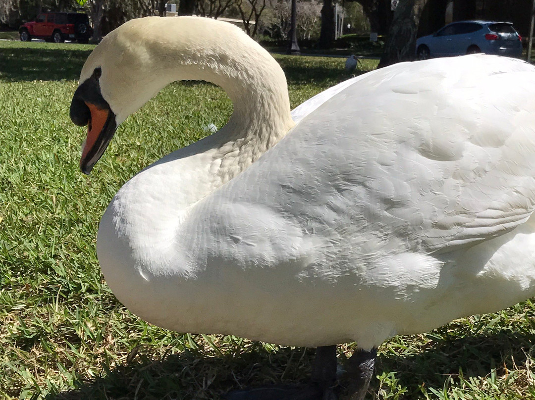 Lake Morton-莱克兰必去景点