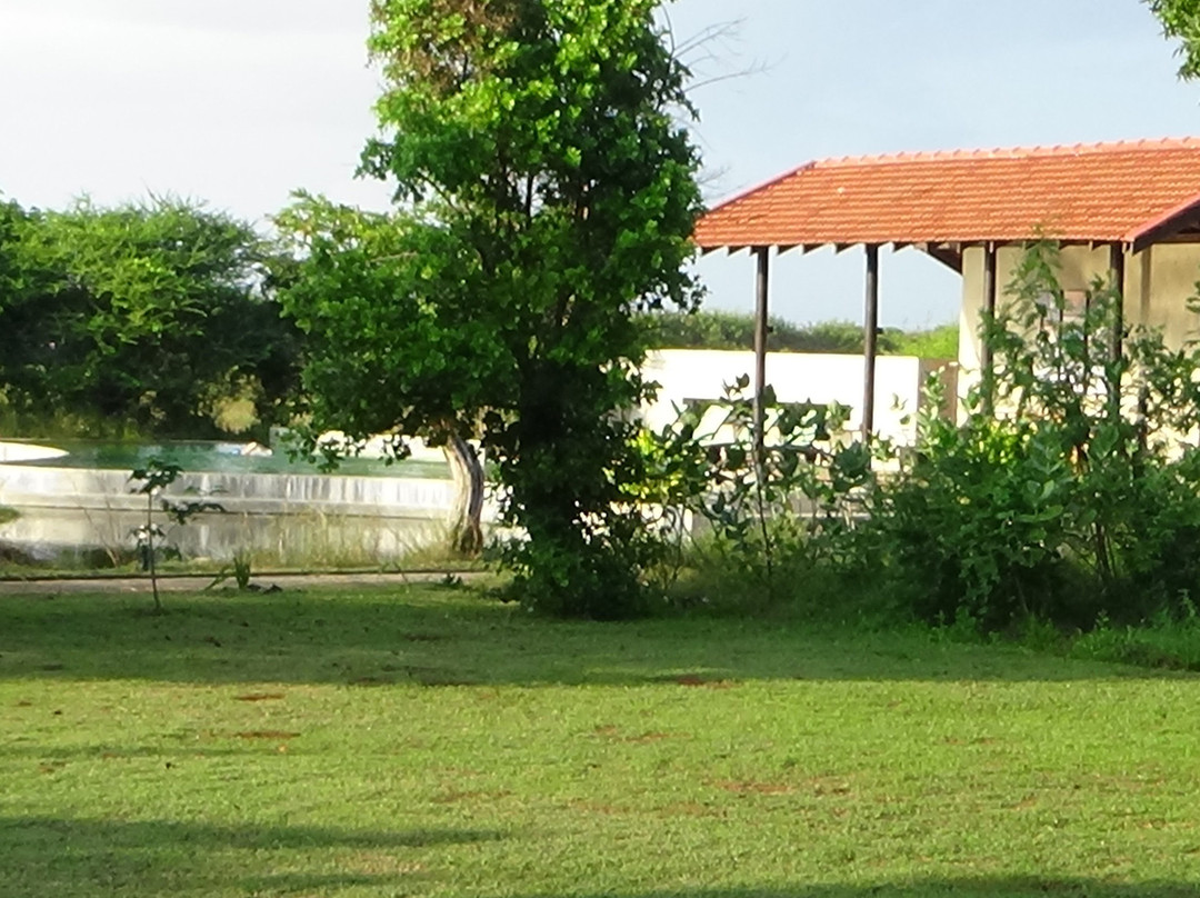 The Palmyrah House主图