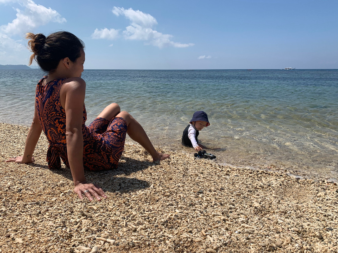 The Beach House主图