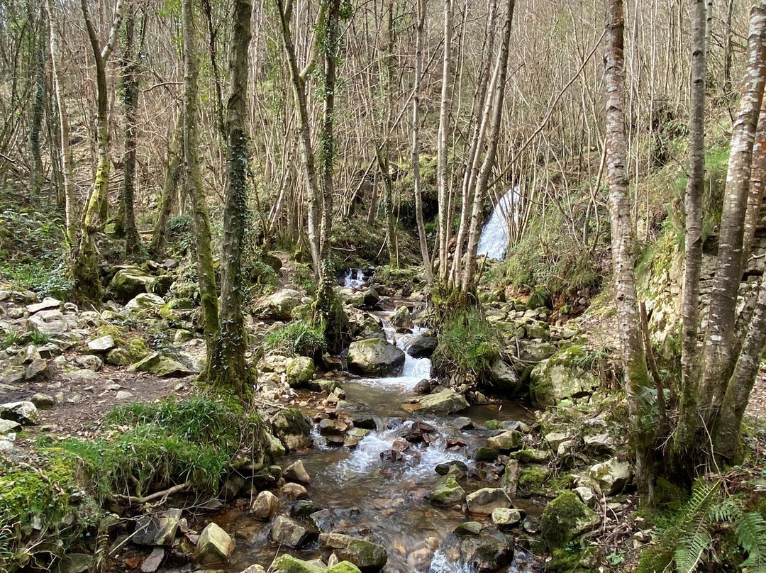 Río Nonaya en Cornellana-Cornellana必去景点