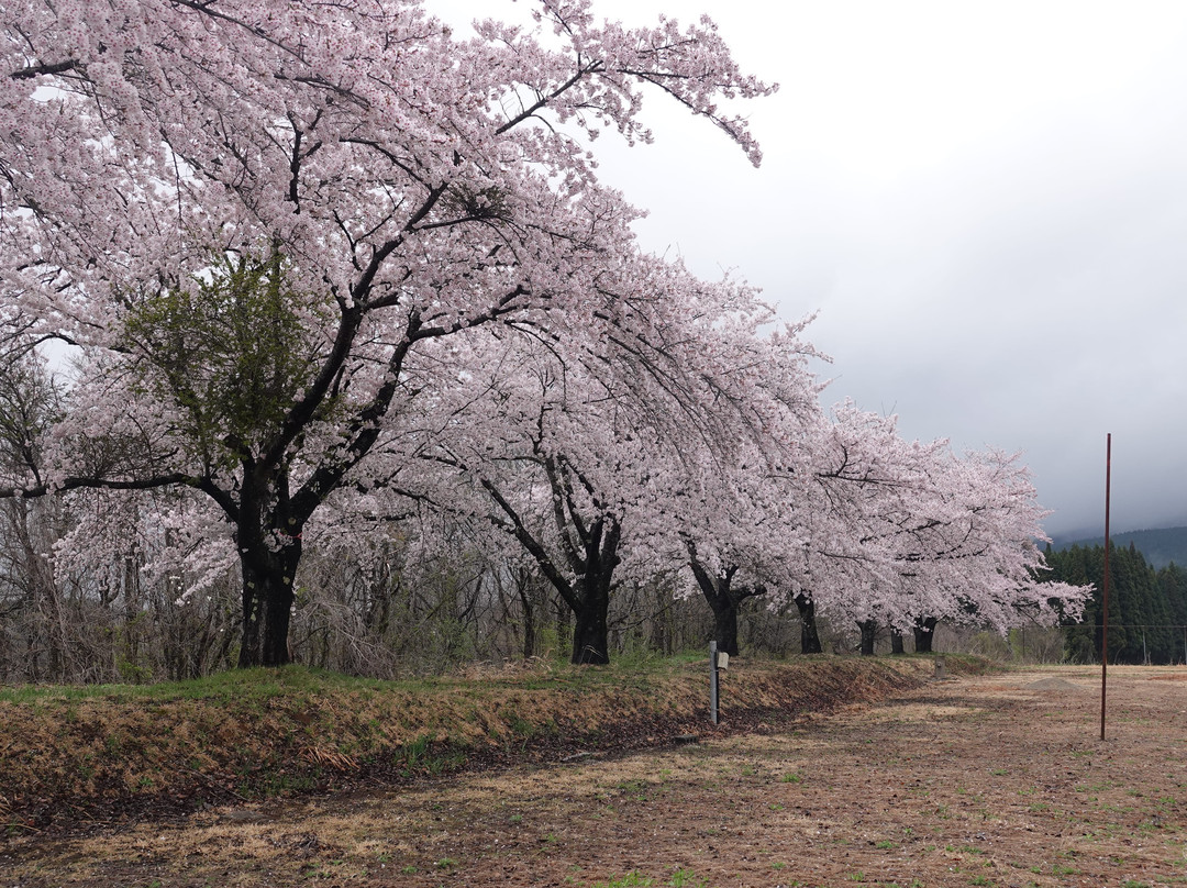 Uedano Ground-由利本庄市必去景点
