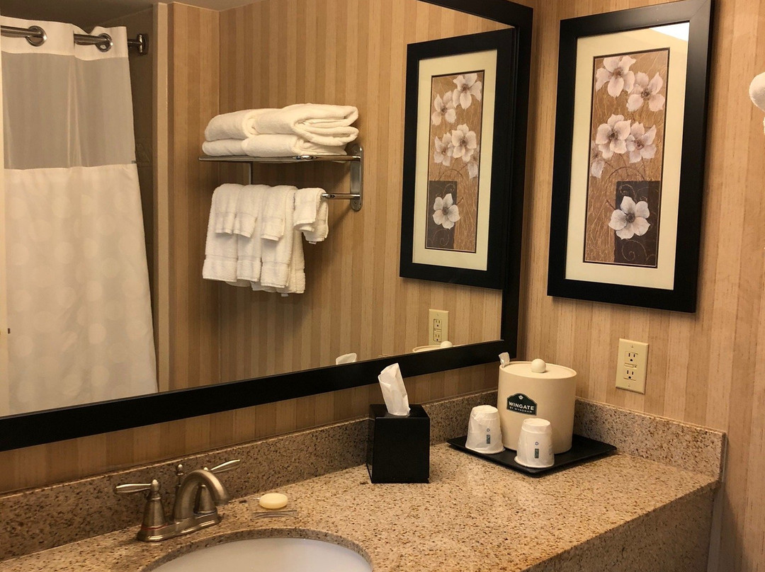 Wingate By Wyndham Charlotte Airport I-85/I-485主图