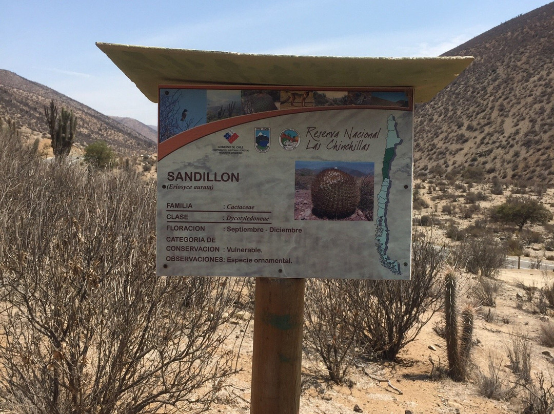 Reserva Nacional Las Chinchillas-Illapel必去景点