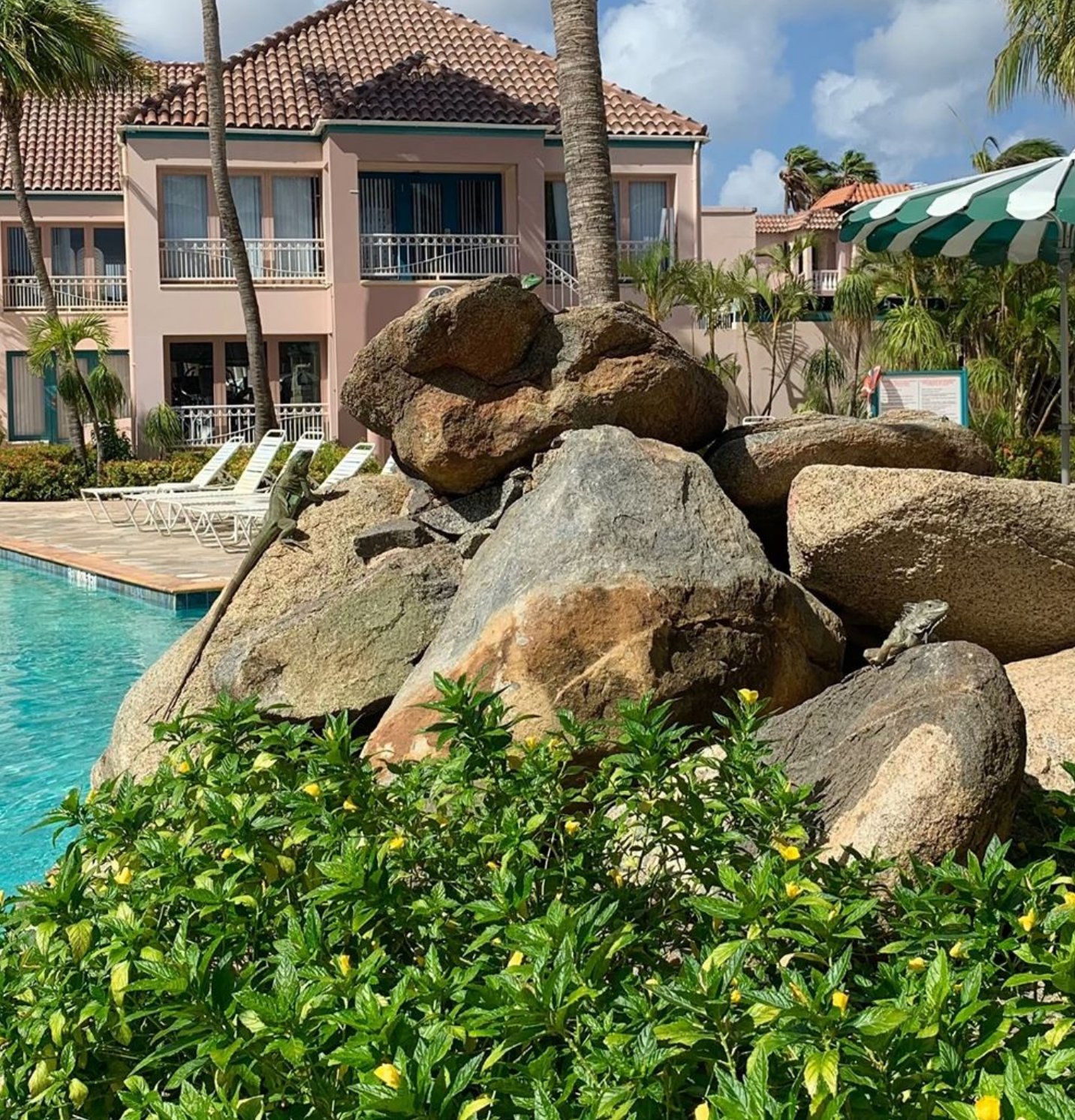 Caribbean Palm Village Resort-泳池