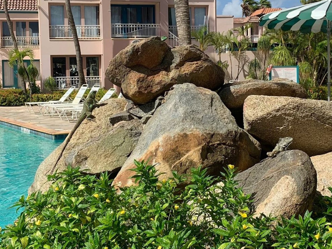 Caribbean Palm Village Resort主图