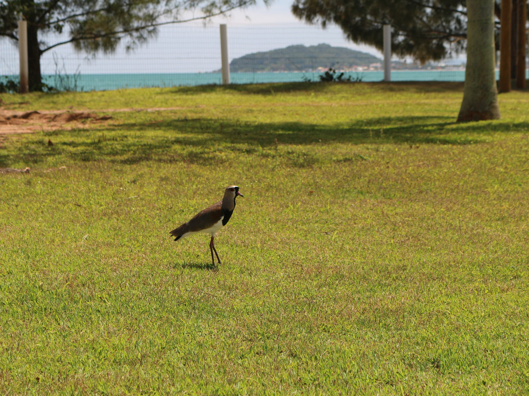 Hotel Porto Sol Beach主图